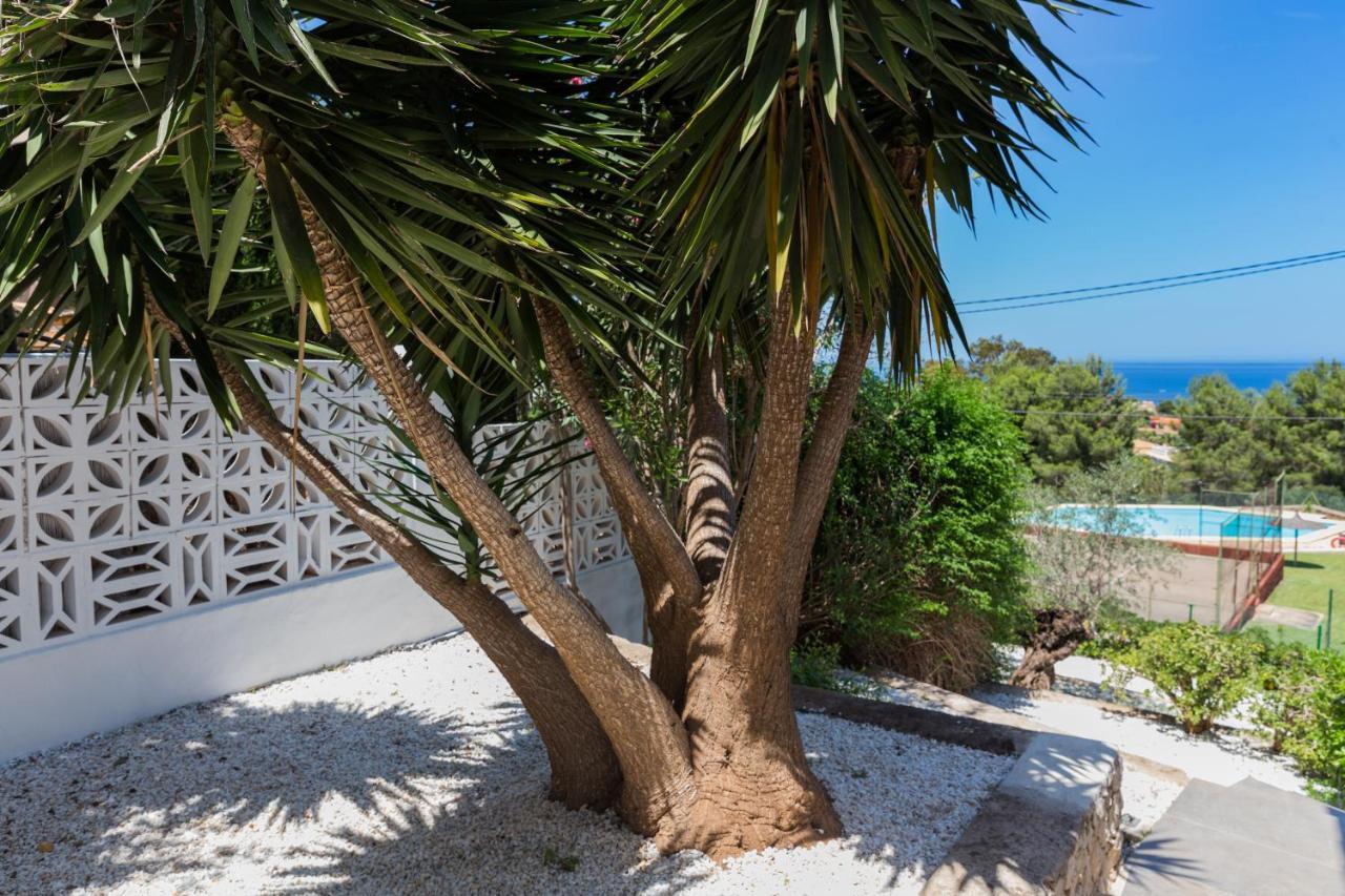 Villa Siesta デニア エクステリア 写真